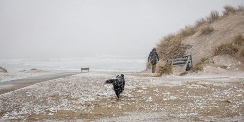 Ameland in de winter Ameland winter Winter op ameland Bezienswaardigheden op Ameland Wat te doen op Ameland Wat te doen op Ameland met regen Wat te doen op ameland in de winter Wat te doen op Ameland met hond Ameland in de winter  .jpg